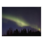 Aurora boreal pacífica fotografías  