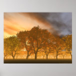 Automne Impresiones