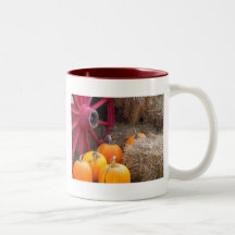 Autumn_In_Maine_9 Taza