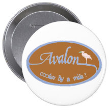 Avalon NJ Pins