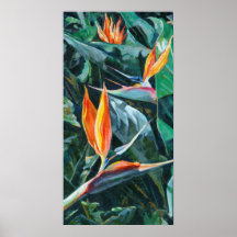 Ave del paraíso poster