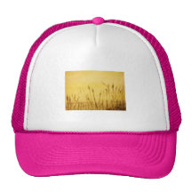 avena del mar gorras