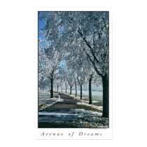 Avenida de sueños posters