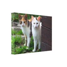 Aventura de los amigos del gato impresiones en lienzo estiradas