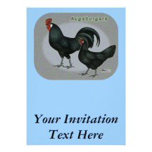 Aves de Augsburger Comunicados Personalizados