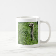avestruz 1 taza de café