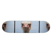 Avestruz Tablas De Skate