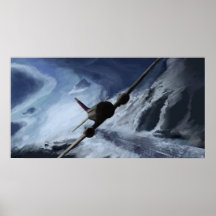 Aviación polar poster