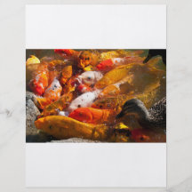 aviador clasificado de los pescados tarjetones