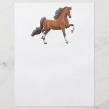 Aviador de Saddlebred del americano Tarjetas Publicitarias