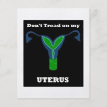 Aviador de Uterus Inc. SM Flyer Personalizado