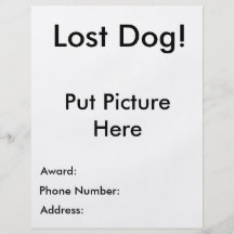 Aviador perdido del perro flyer personalizado