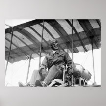 Aviator temprano, 1910 poster