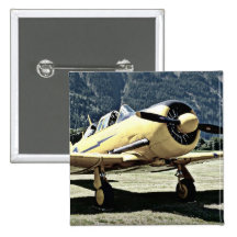 Avión antiguo del museo pin