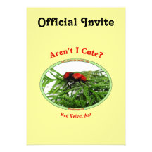 Avispa roja linda de la hormiga del terciopelo invitacion personalizada