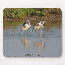 Avocets Alfombrilla De Ratón