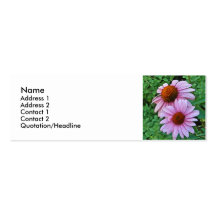 AZ- tarjetas de visita florales rosadas de Coneflo
