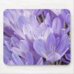 Azafrán Mousepad