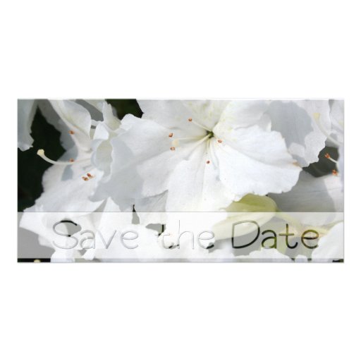 Azalea blanca - ahorre la fecha - tarjeta fotografica personalizada
