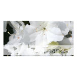 Azalea blanca - gracias tarjetas fotograficas personalizadas