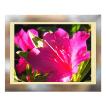 Azalea en violeta arte con fotos