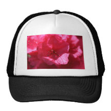 Azalea Gorro De Camionero