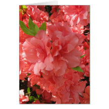 Azalea Notecard Felicitación