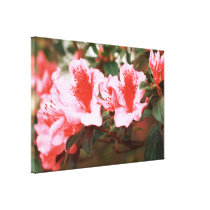 Azaleas impresiones de lienzo