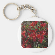 Azaleas salvajes llavero personalizado