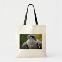 Azor septentrional bolsa de mano