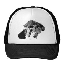 Azor septentrional gorros bordados