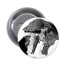 Azor septentrional pins
