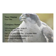 Azor septentrional tarjeta de visita