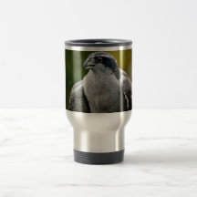 Azor septentrional taza de café
