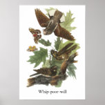 Azote-pobre-, Juan Audubon Posters