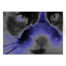 Azul de neón del gato tarjetón