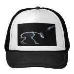 Azul negro esquelético de la mala radiografía del  gorros  
