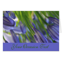 Azul purpurino floral/toda la tarjeta de felicitac