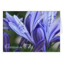 Azul purpurino floral/toda la tarjeta de felicitac