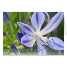 Azul purpurino floral/toda la tarjeta de felicitac