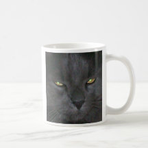 Azul ruso del pelo largo tazas de café