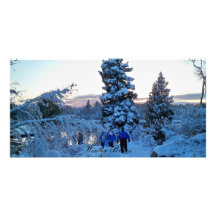 Azules del invierno tarjetas fotograficas personalizadas