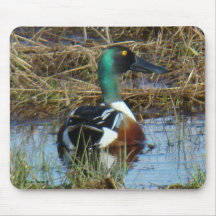 B0026 pato cuchara septentrional Drake Tapetes De Ratón
