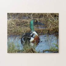 B0026 pato cuchara septentrional Drake Rompecabezas