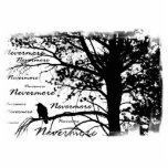 B&W Raven nunca más la silueta Escultura Fotográfica