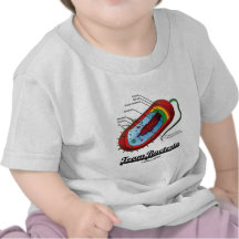 Bacterias del equipo (Prokaryote) Camisetas