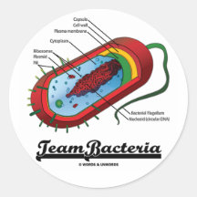 Bacterias del equipo (Prokaryote) Etiqueta Redonda