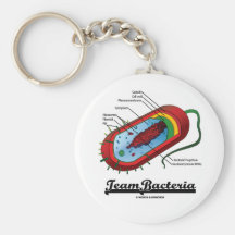 Bacterias del equipo (Prokaryote) Llaveros Personalizados