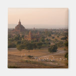 Bagan en el imán de la oscuridad