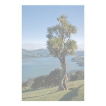 Bahía de desatención de Dunedin Papeleria
